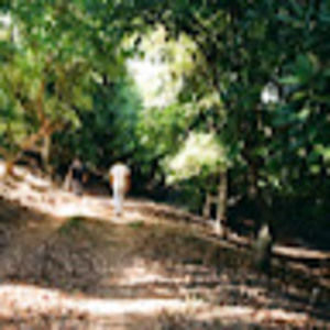 Meet your Posher, Meena